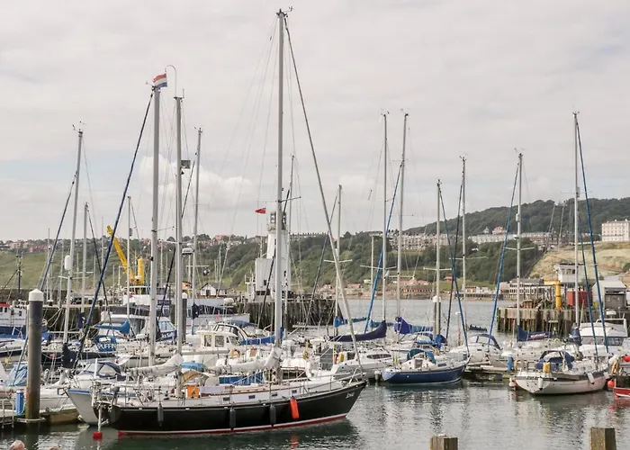 Sanderling 斯卡伯勒